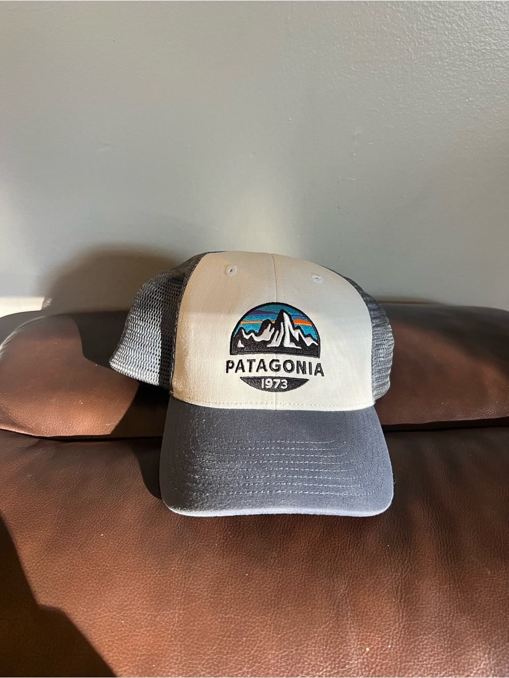 Patagonia Trucker Hat